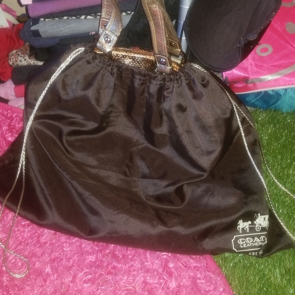 Brand New Limited Edition Gold Sequined Coach Purs